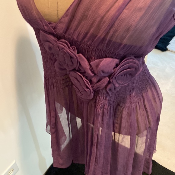 Sheer Silk Blouse - Picture 6 of 10